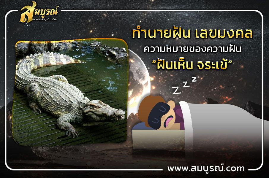 “เลขเด็ด” คำทำนาย “ฝันเห็นจระเข้” จำเป็นต้องแก้บนจริงหรือไม่?