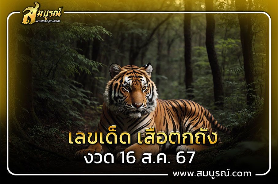 เปิดแนวทางเลขเด็ด เสือตกถัง ลุ้นรวยงวด 16 ส.ค. 67